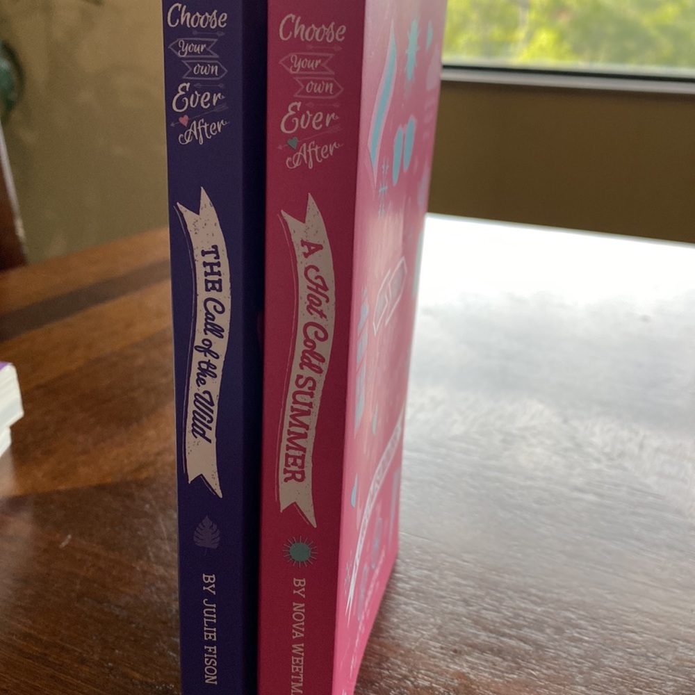 Set of “pick your own ending” books. Kane Miller/Usborne books. New